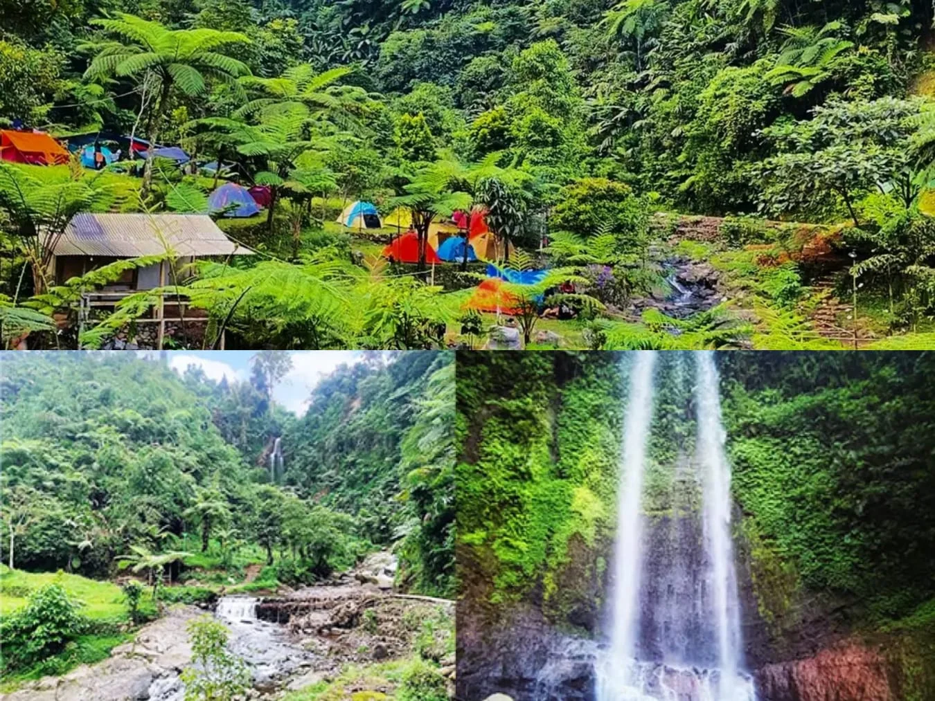 Curug Manglid Sukabumi: Keindahan Air Terjun Hijau di Cidahu